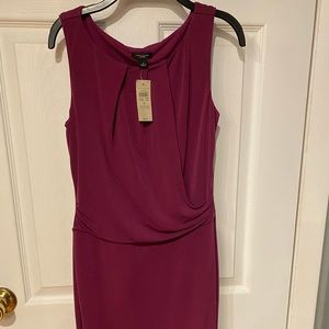 Beautiful NEW Ann Taylor dress